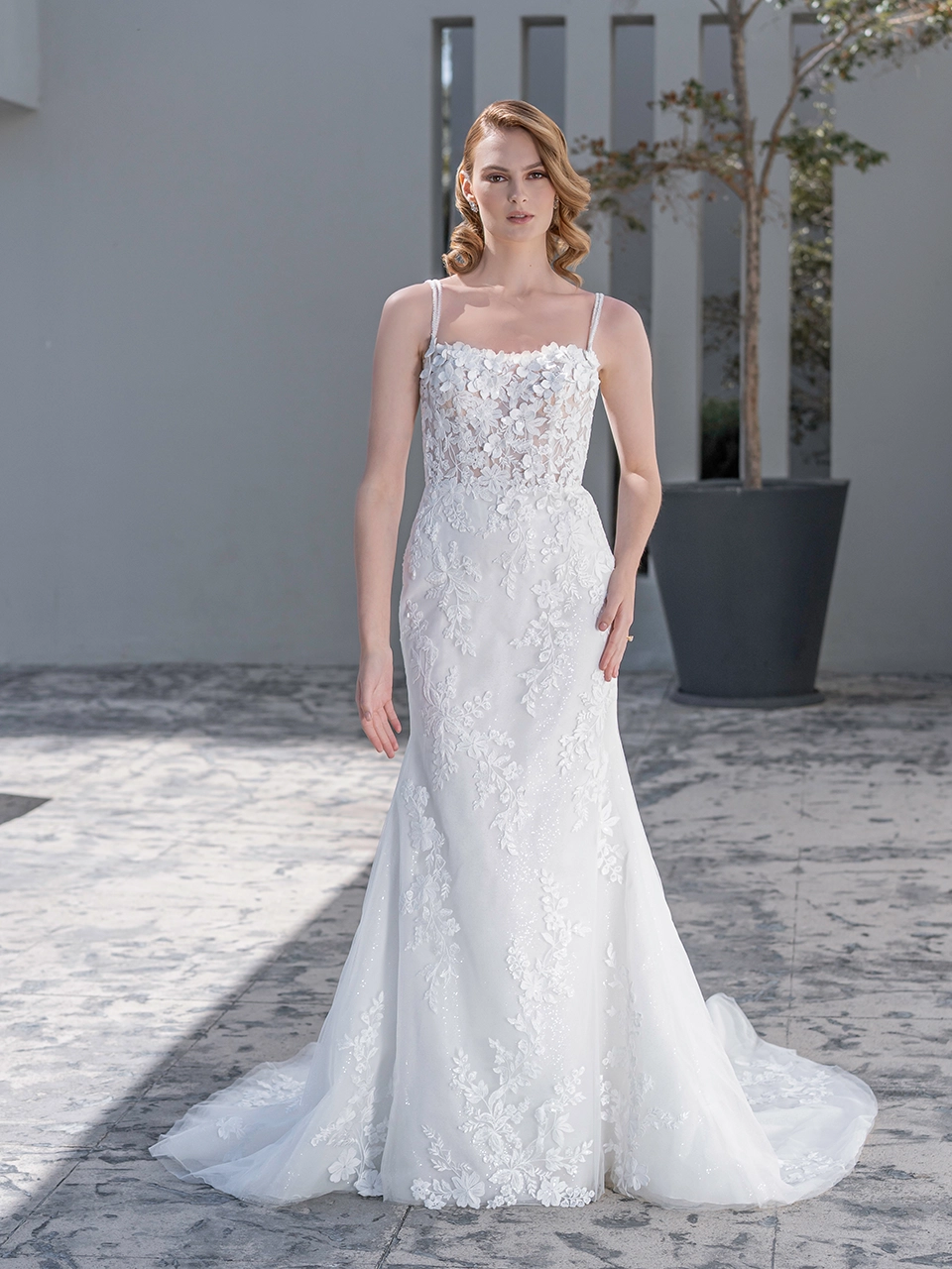 prime-collection-BREZZE