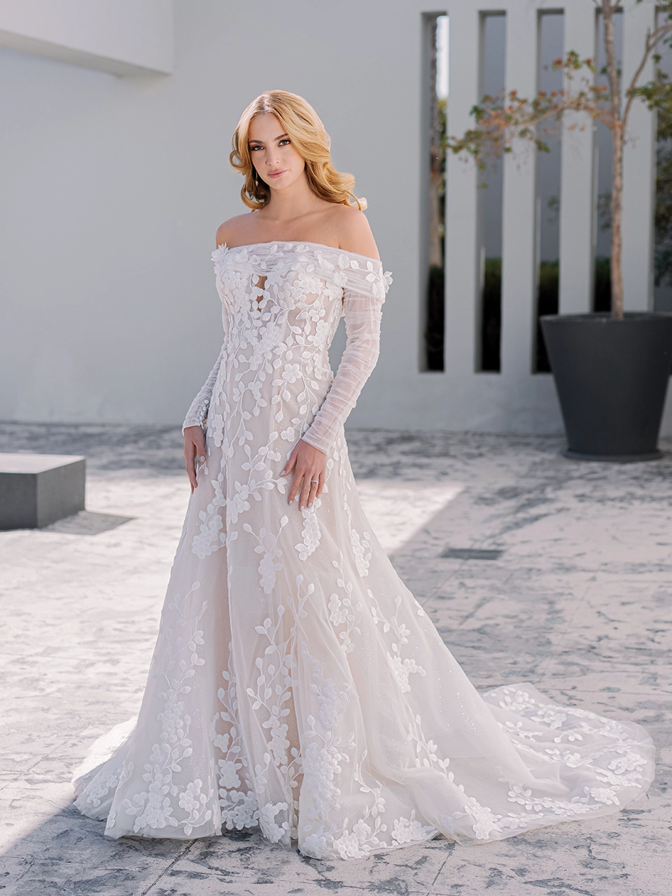 prime-collection-DOSEL