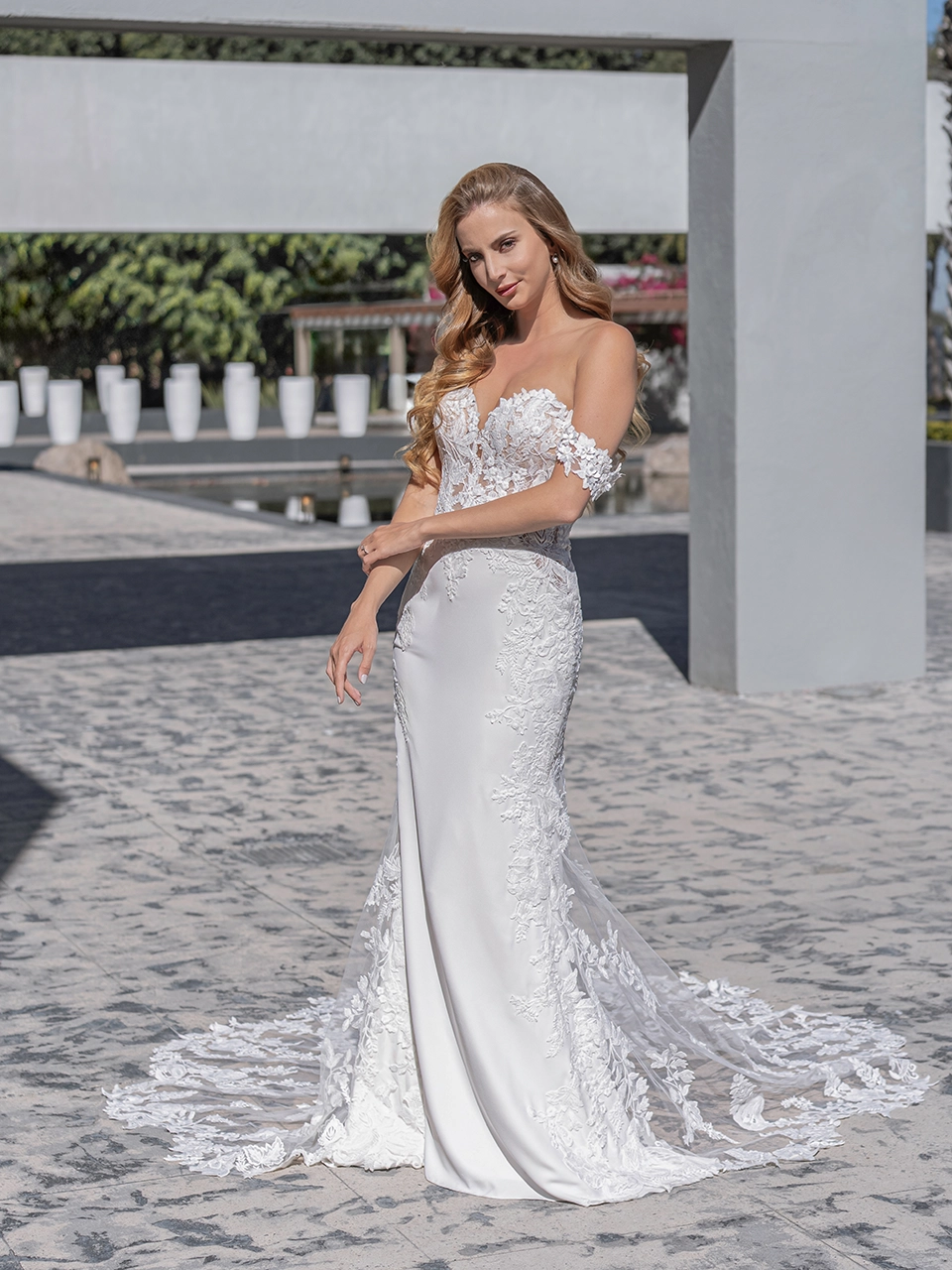 prime-collection-ENCHANMENT